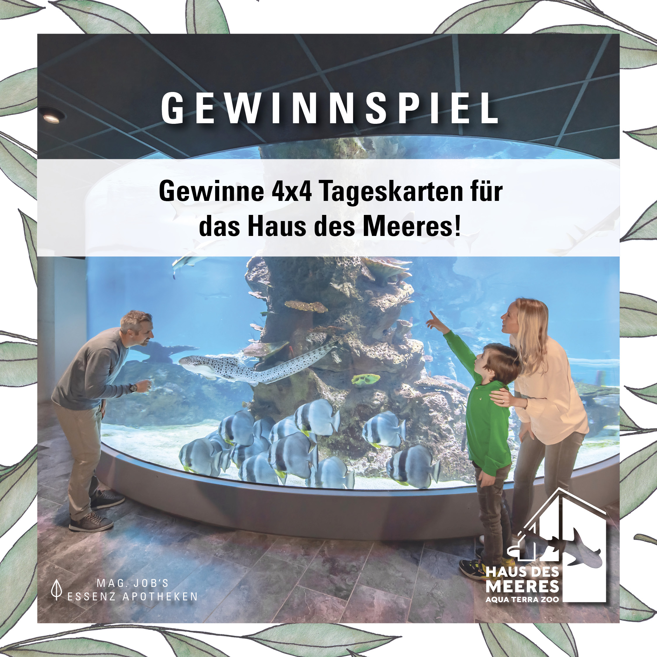 Haus des Meeres Gewinnspiel